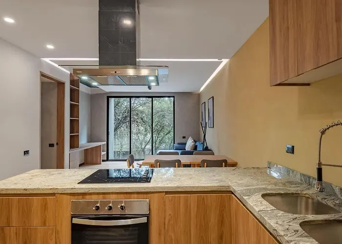 Zkh Luxury Collection Roma Norte Mexico City
