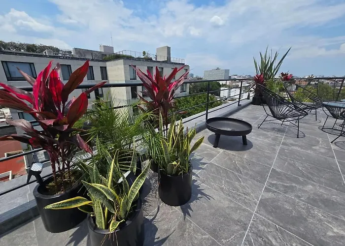 Zkh Luxury Collection Roma Norte * Mexico City